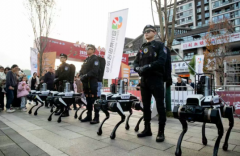 由全国各的“警跑团”仍是赛道上亮眼的“流动